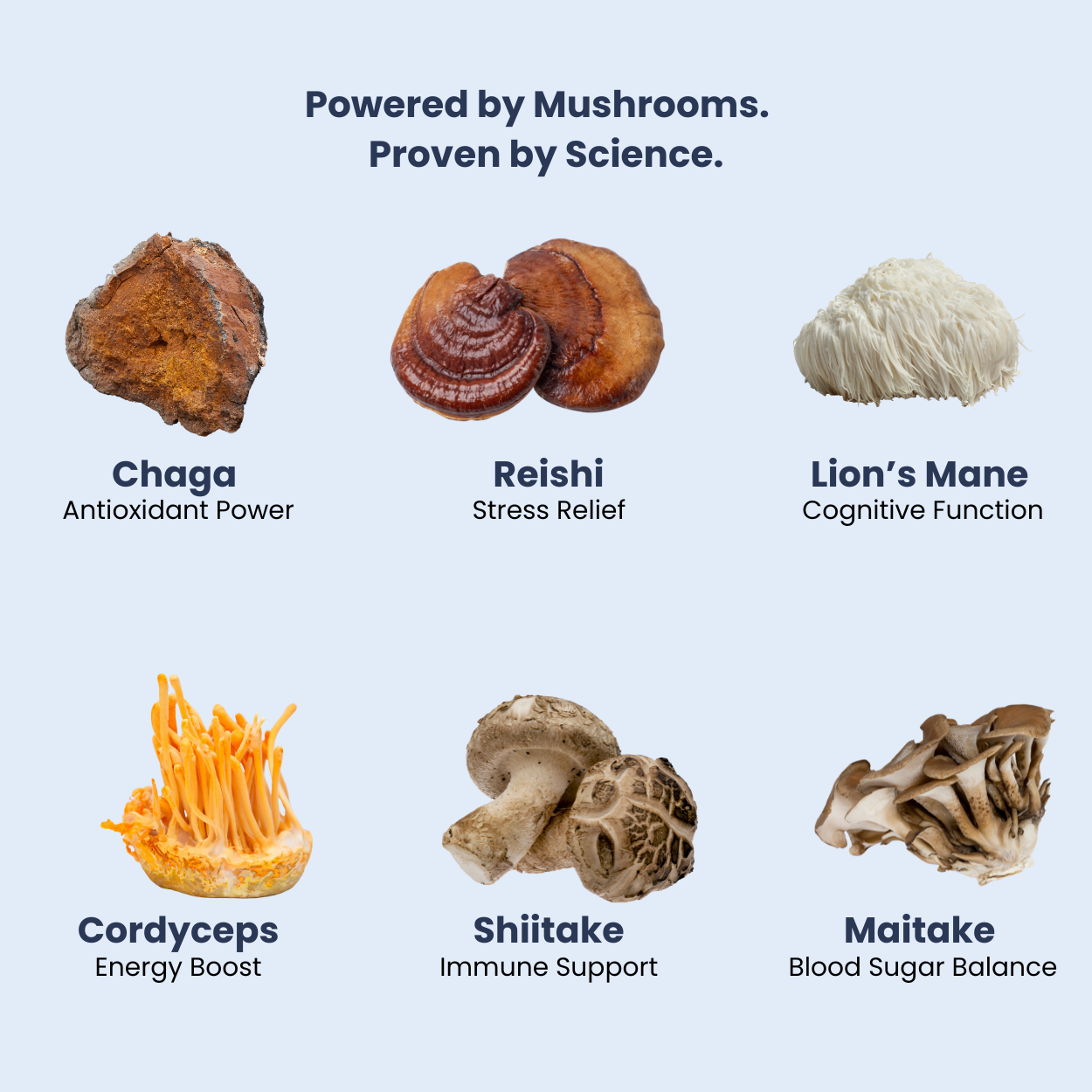 flow gummies